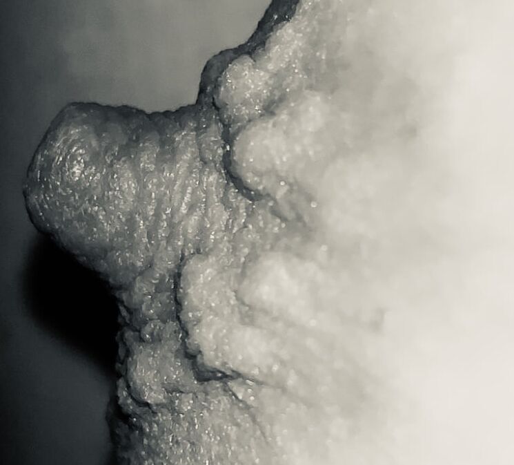 T noir
