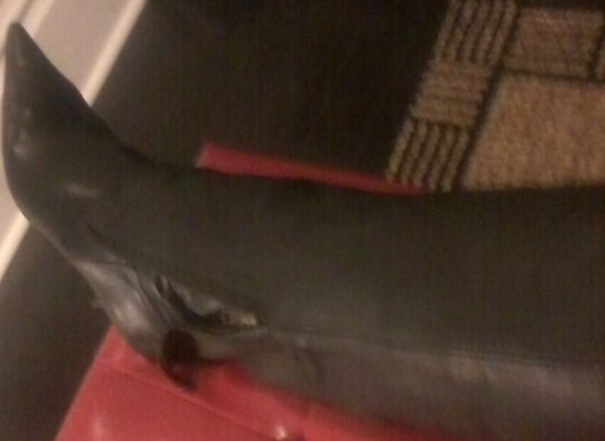 zipper pants