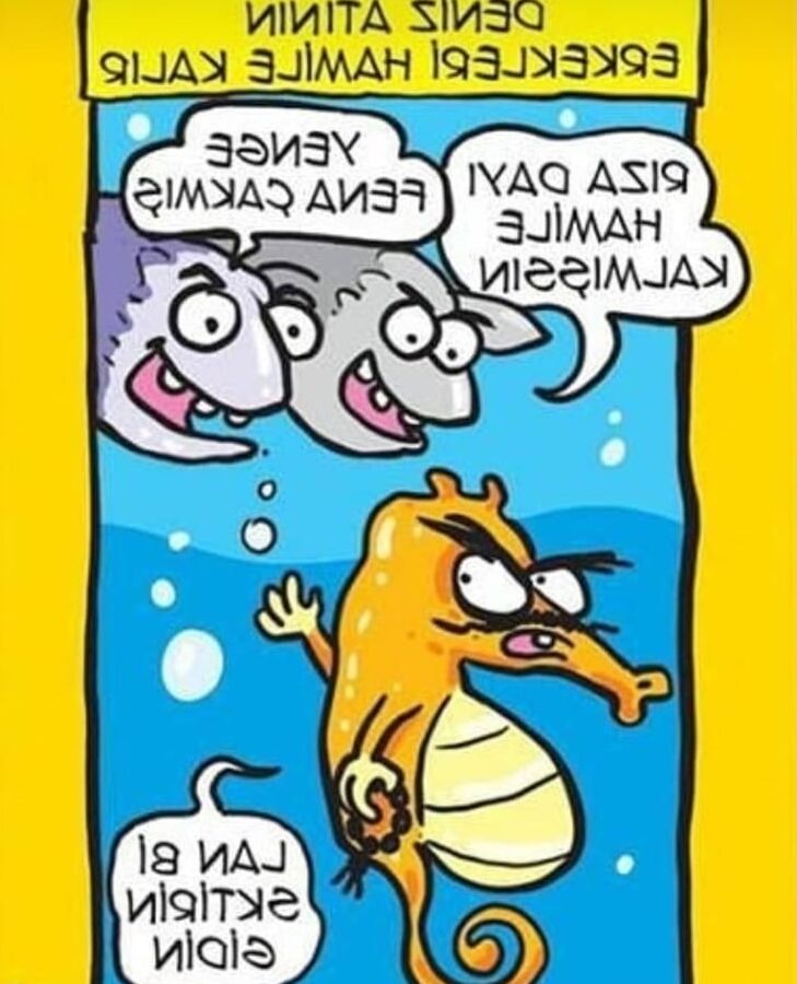 asdf