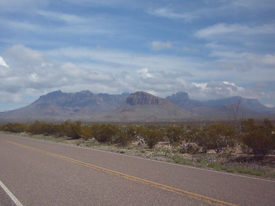 Bluebonnets in bloom, Big Bend Nat&;l Park, TX, Spring