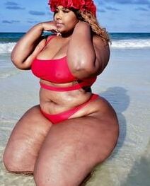 BBW Swimsuit