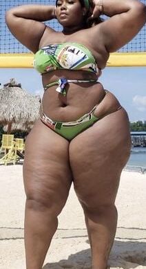 BBW Swimsuit