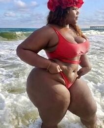 BBW Swimsuit