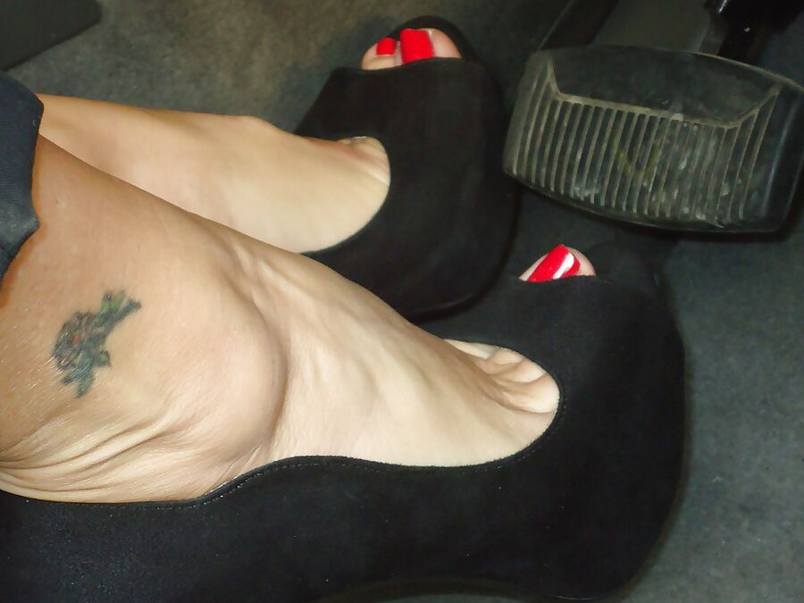 Katrina&;s Pedal Pumping Paws
