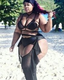 BBW Swimsuit