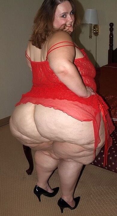 Marranas panzonas solo para anal