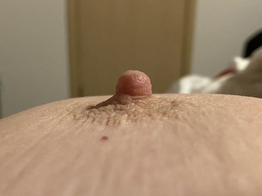 Great tits.
