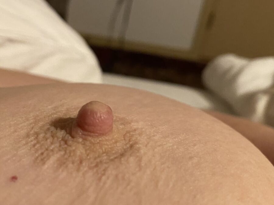 Great tits.