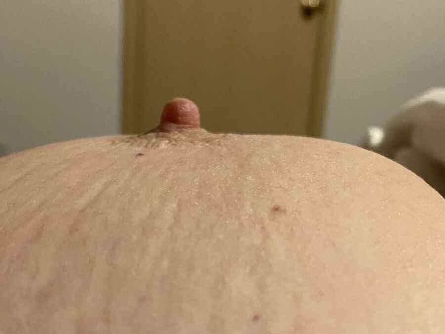 Great tits.