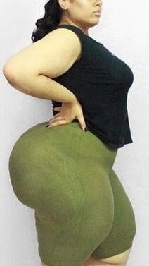 Marranas panzonas solo para anal