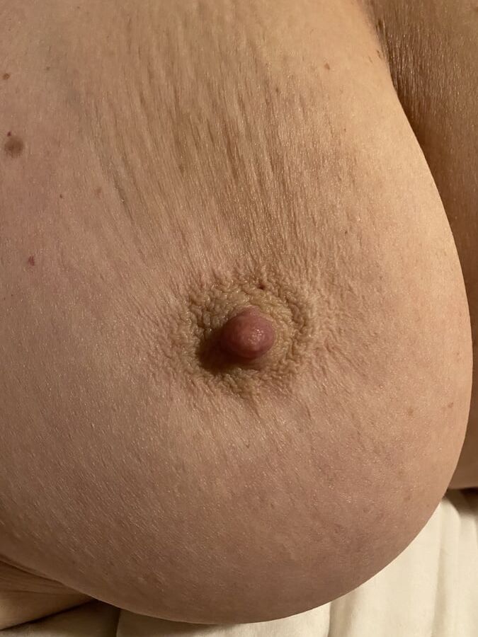 Great tits.