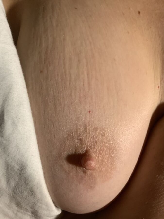 Great tits.