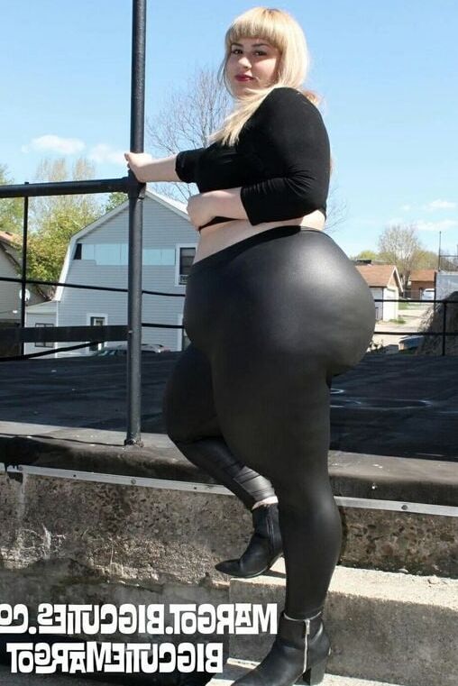 Marranas panzonas solo para anal