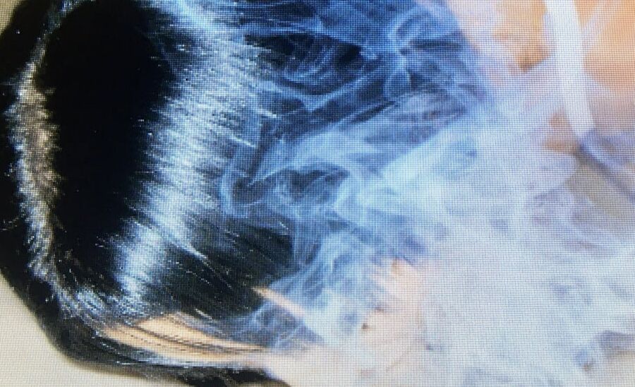 Smokey blowjob with Sandy