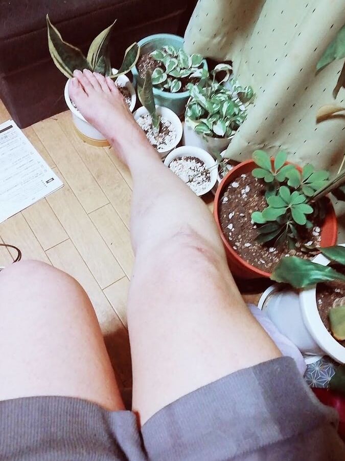 leg fetish