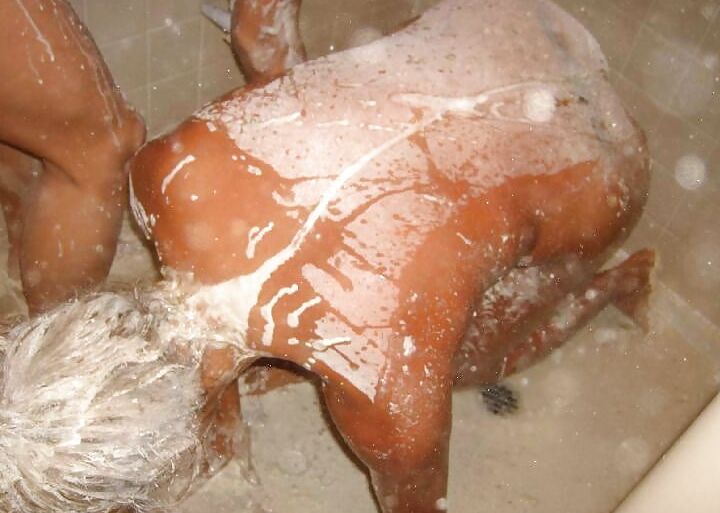 Mehl in Dusche