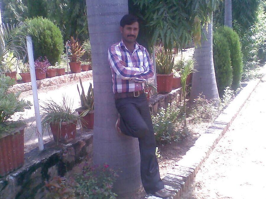 Chuti nangi