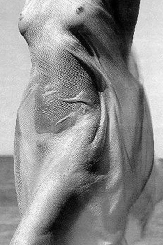 Carre Otis