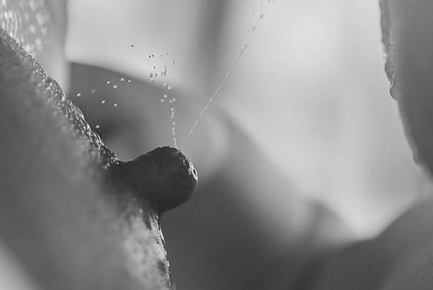 Breast milking