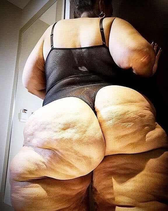 Marranas culonas