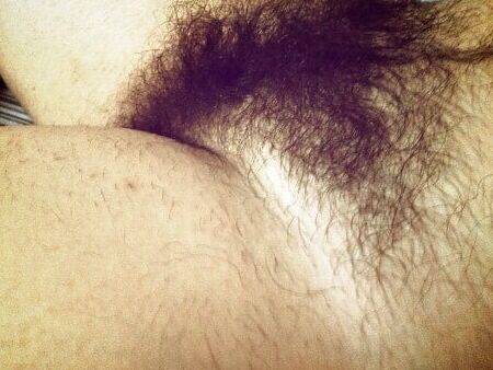 Starring hairy asses-guest pits, pussies and more