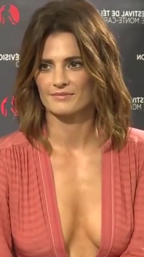 Stana Katic
