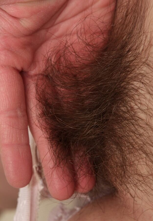 Chubby hairy cutie