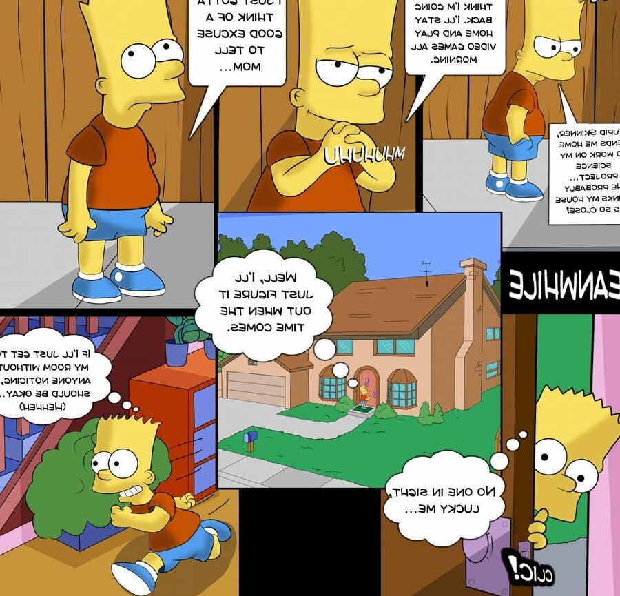 bart man of the house