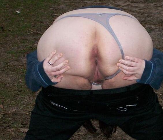 bbw asses