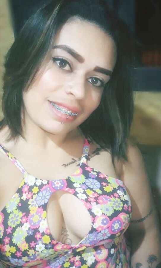 Gatas
