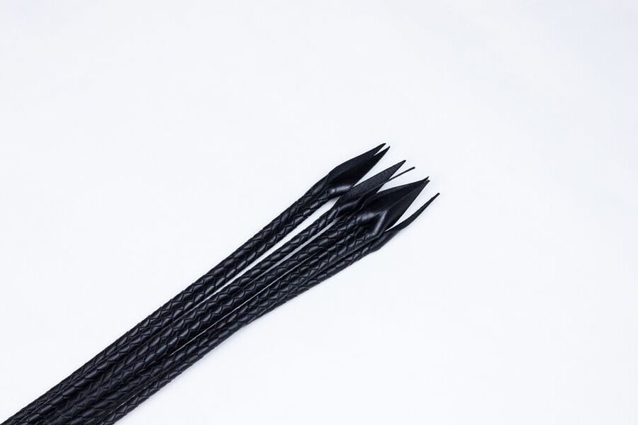 Interchangeable flogger sets (Dragon)