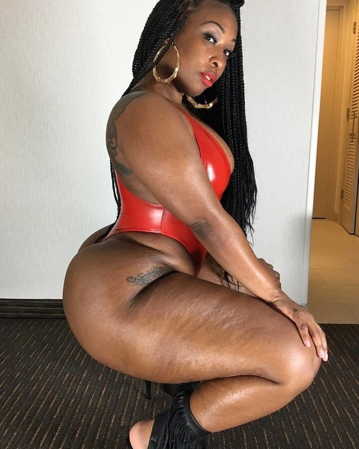 Album (Ass)