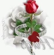 My pictures