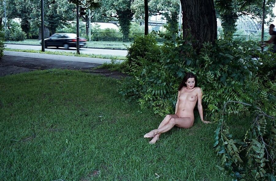 Tree Huggers