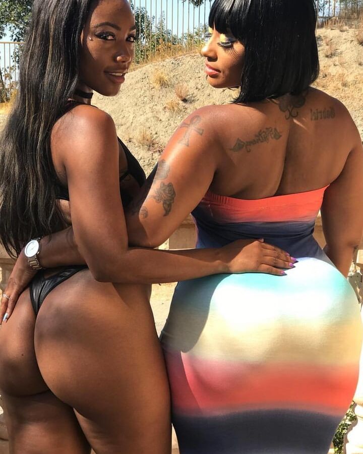 Album (Ass)