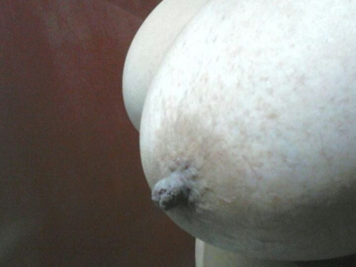 LAS TETAS DE NUESTRAS AMIGAS