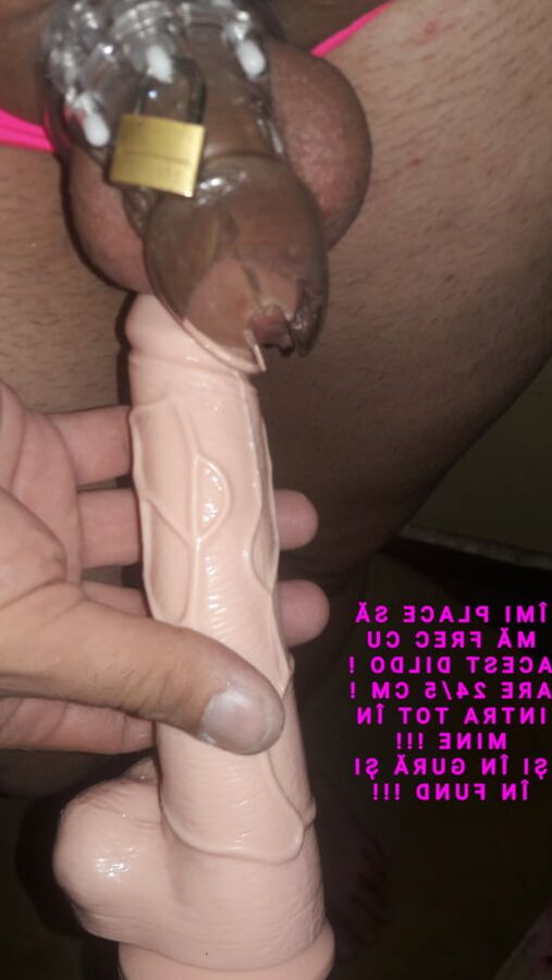 Va prezint pizda mea
