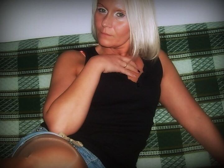 kocica