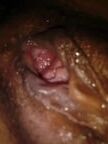 Pussy