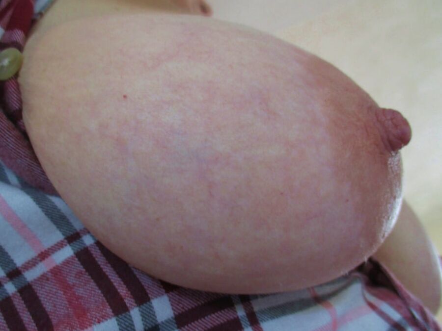 Plaid Milf Tits