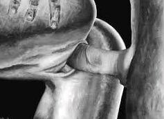 Art sex