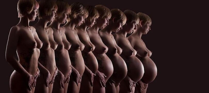 Pregnant Mix
