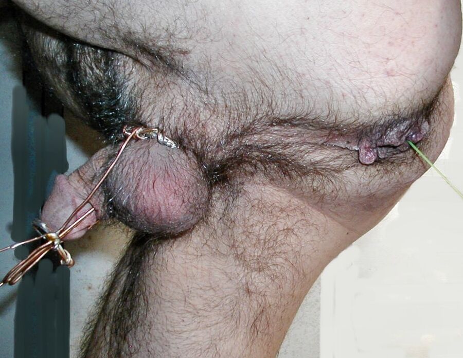 small pee, verging, ass