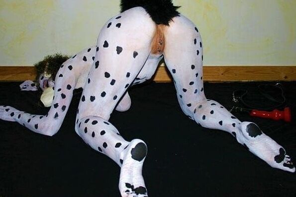 Petgirls Mix pt.