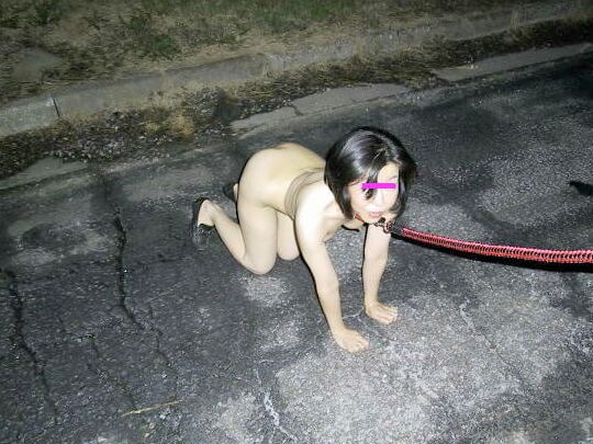 Petgirls Mix pt.