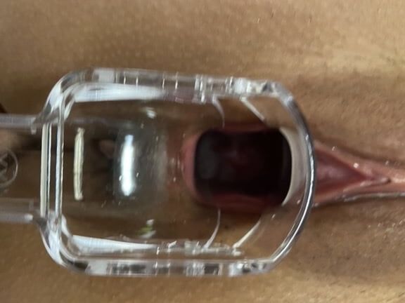 Slut wife pussy show