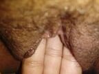 Pussy