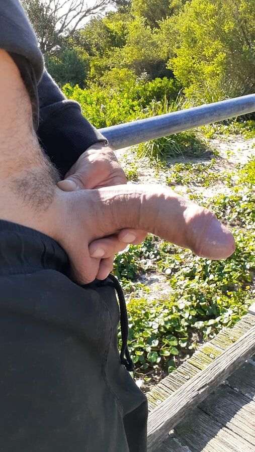 Out and about with my horny cock looking for a hungry mouth