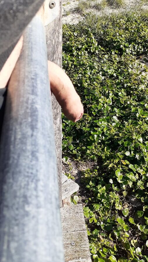 Out and about with my horny cock looking for a hungry mouth