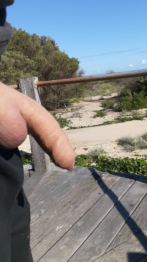 Out and about with my horny cock looking for a hungry mouth